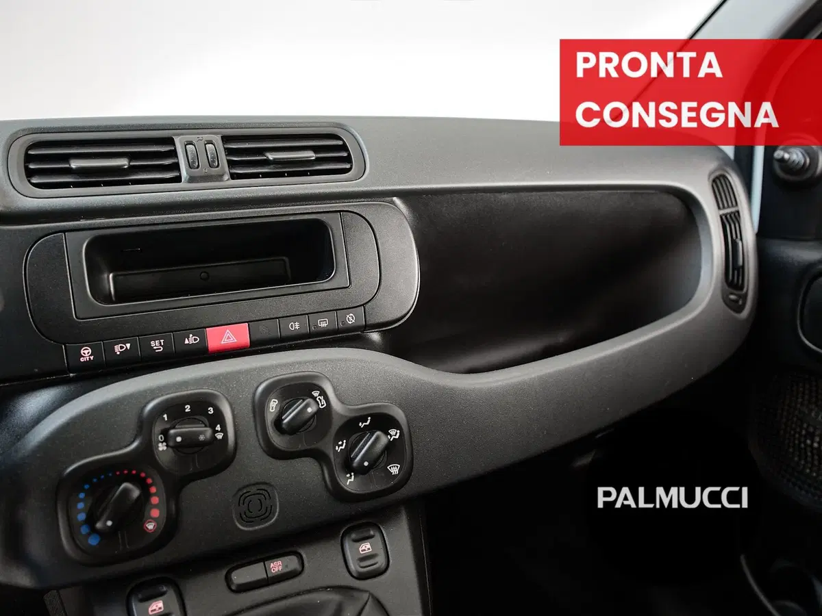 Fiat Panda Cross usata a Prato (13)