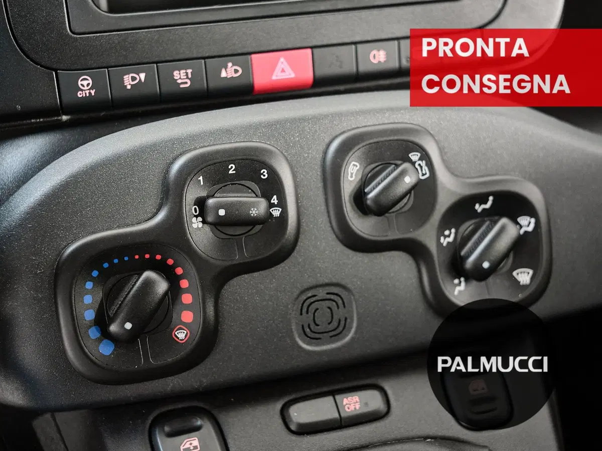 Fiat Panda Cross usata a Prato (16)
