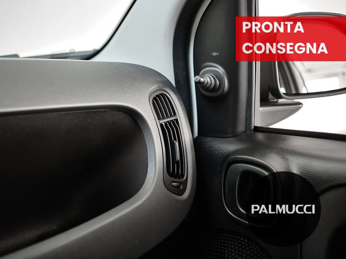 Fiat Panda Cross usata a Prato (17)