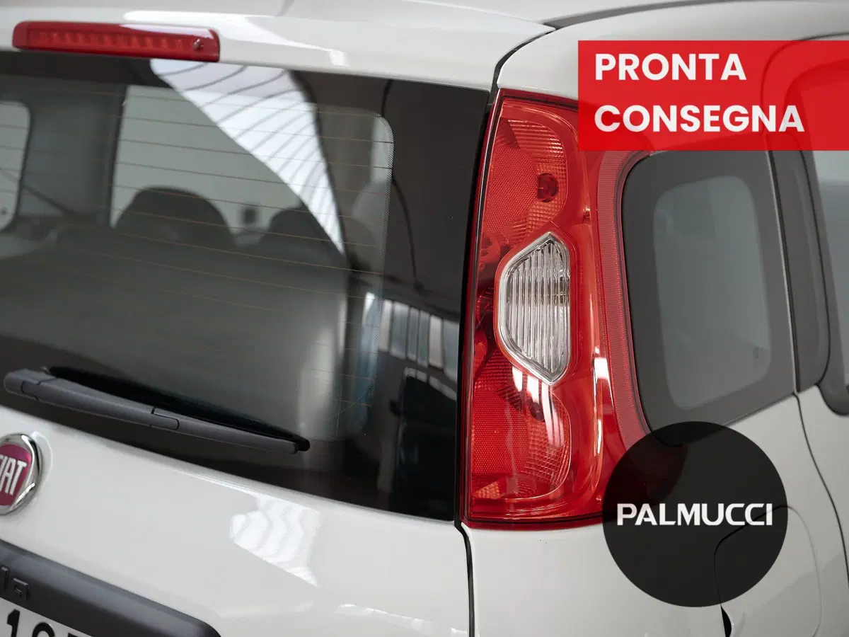 Fiat Panda Cross usata a Prato (20)