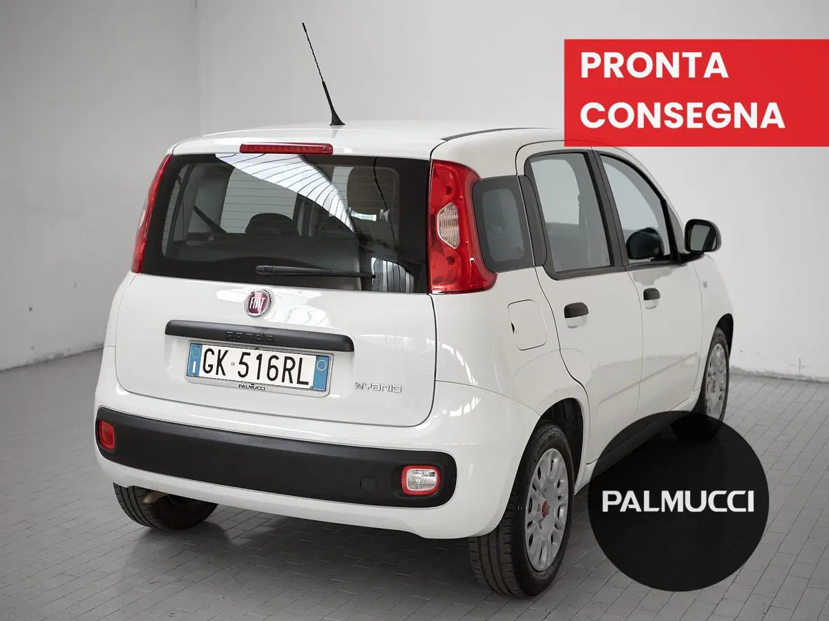Fiat Panda Cross usata a Prato (3)