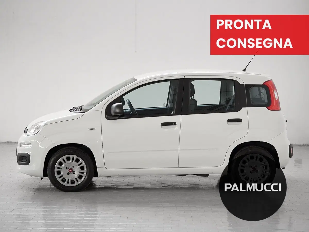 Fiat Panda Cross usata a Prato (4)