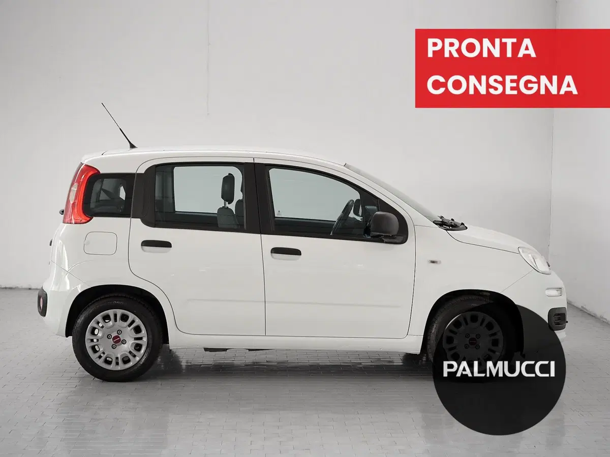 Fiat Panda Cross usata a Prato (5)