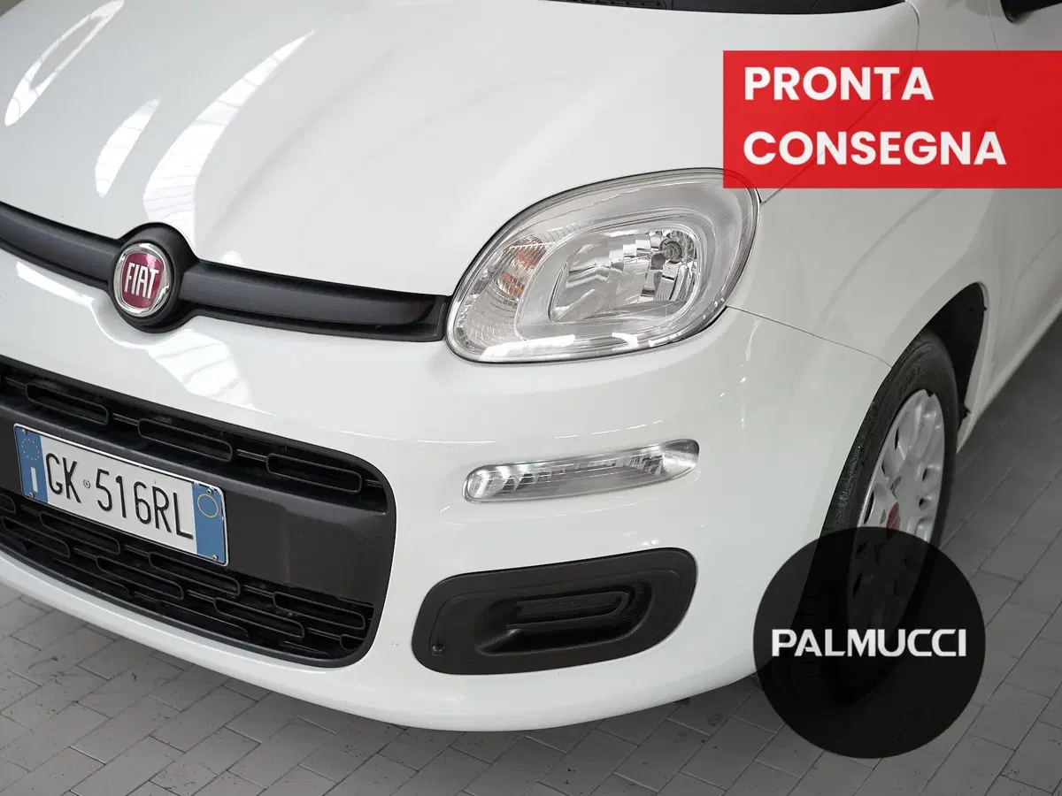 Fiat Panda Cross usata a Prato (6)