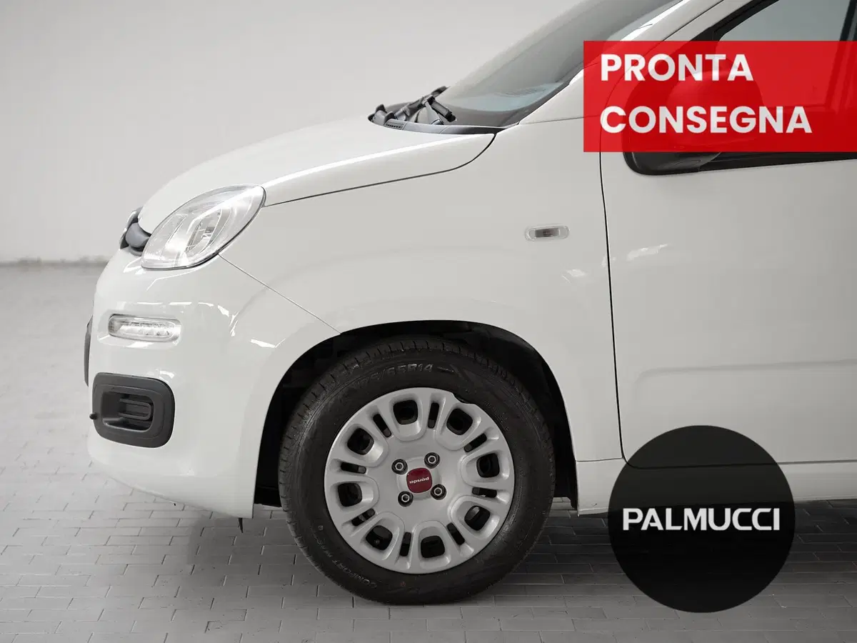 Fiat Panda Cross usata a Prato (7)