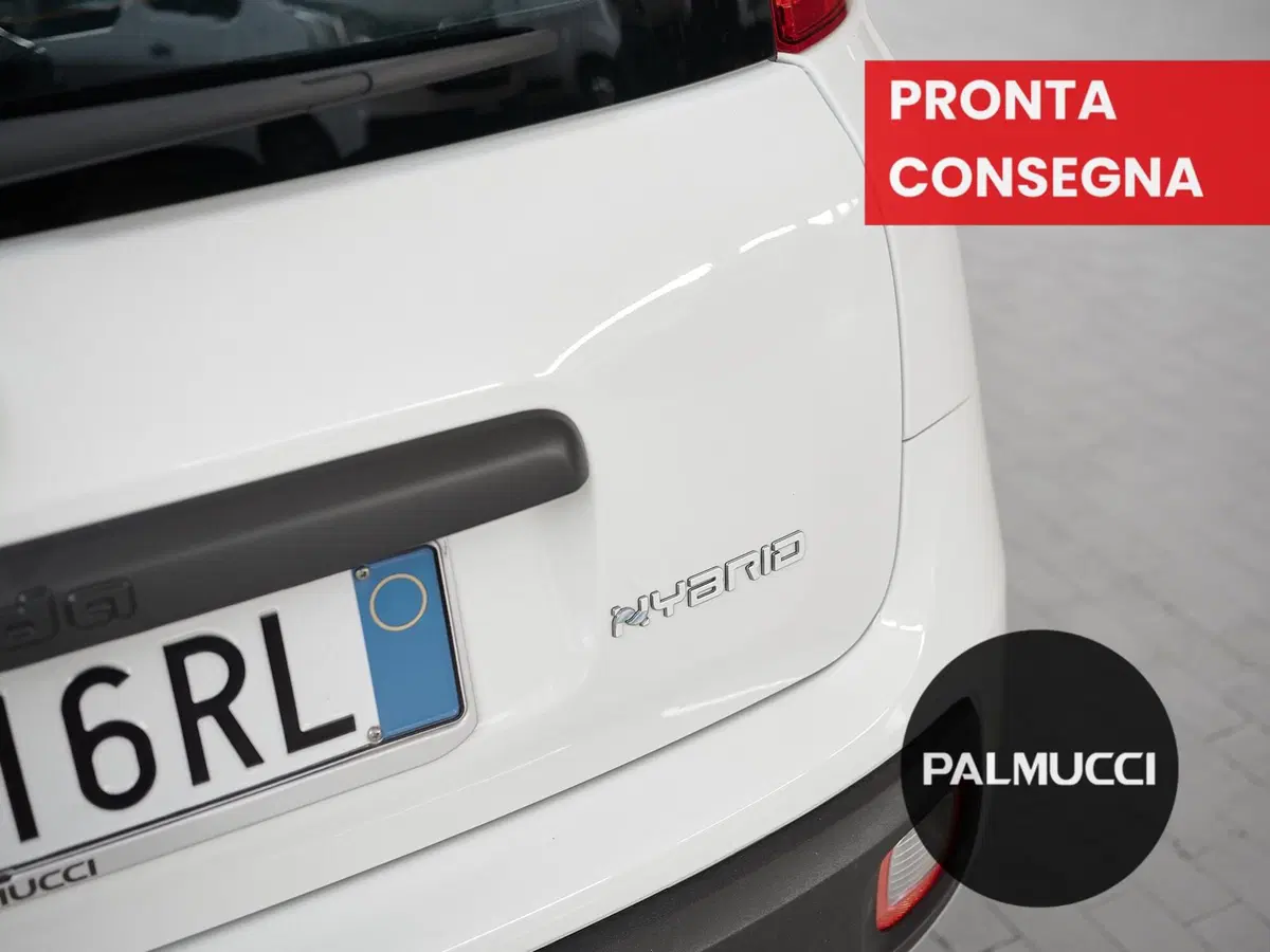 Fiat Panda Cross usata a Prato (8)