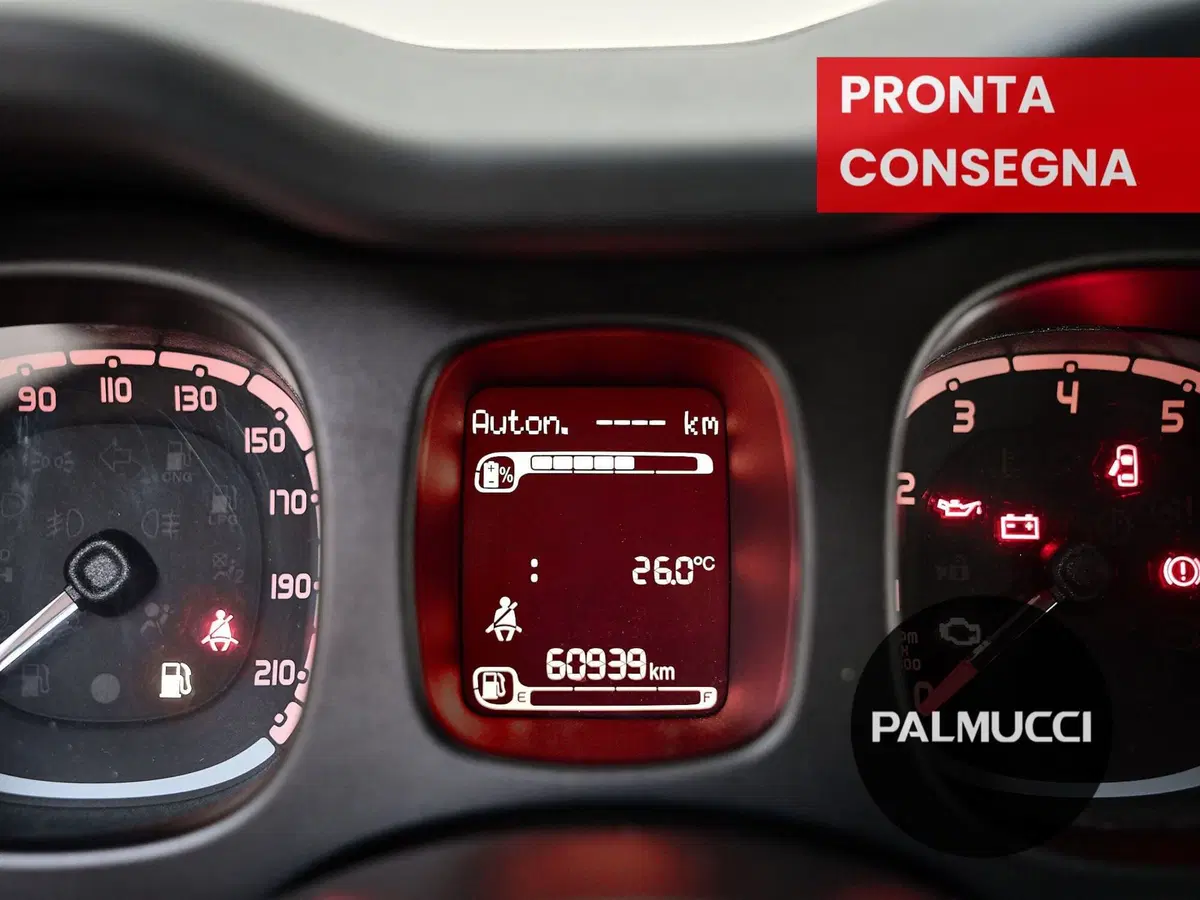 Fiat Panda Cross usata a Prato (9)