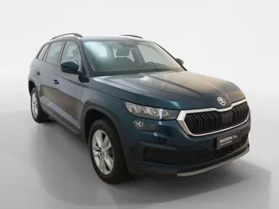 Skoda Kodiaq 2.0 TDI SCR 4x4 DSG Executive del 2023 usata a Torino