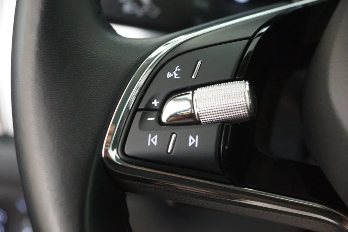 Skoda Kodiaq usata a Torino (14)