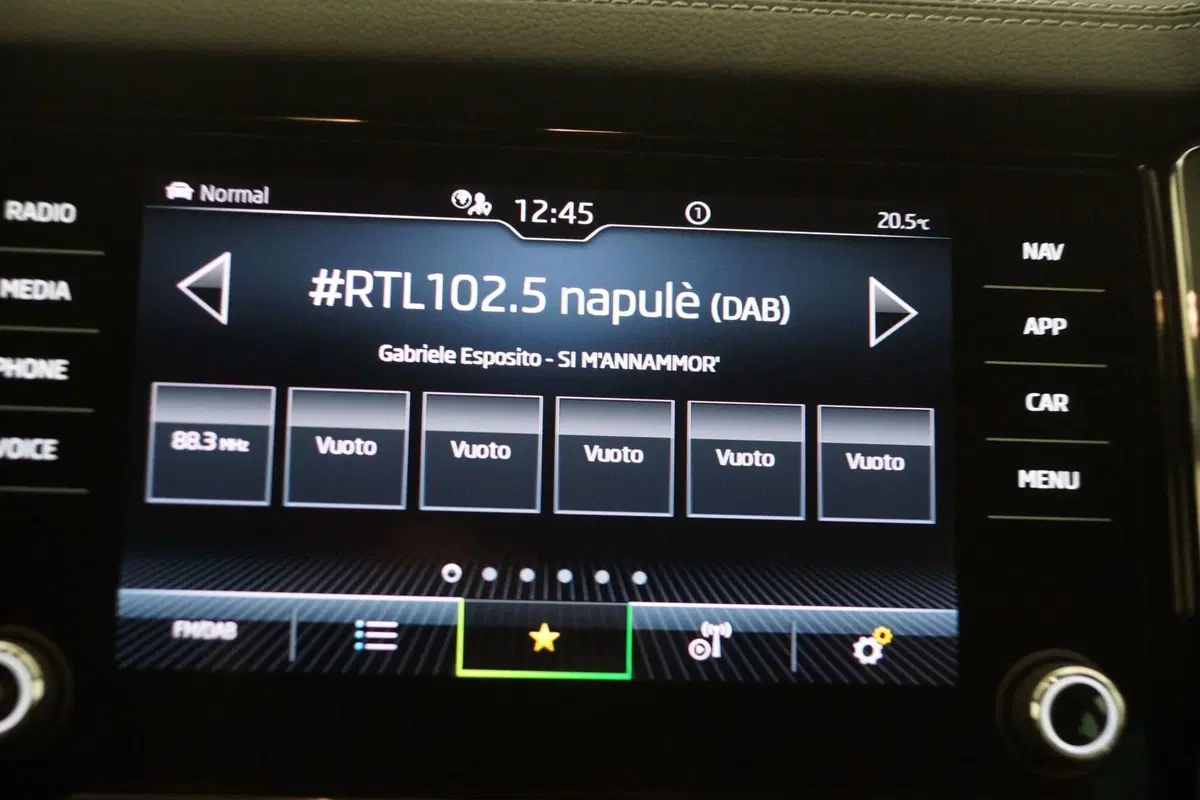 Skoda Kodiaq usata a Torino (20)
