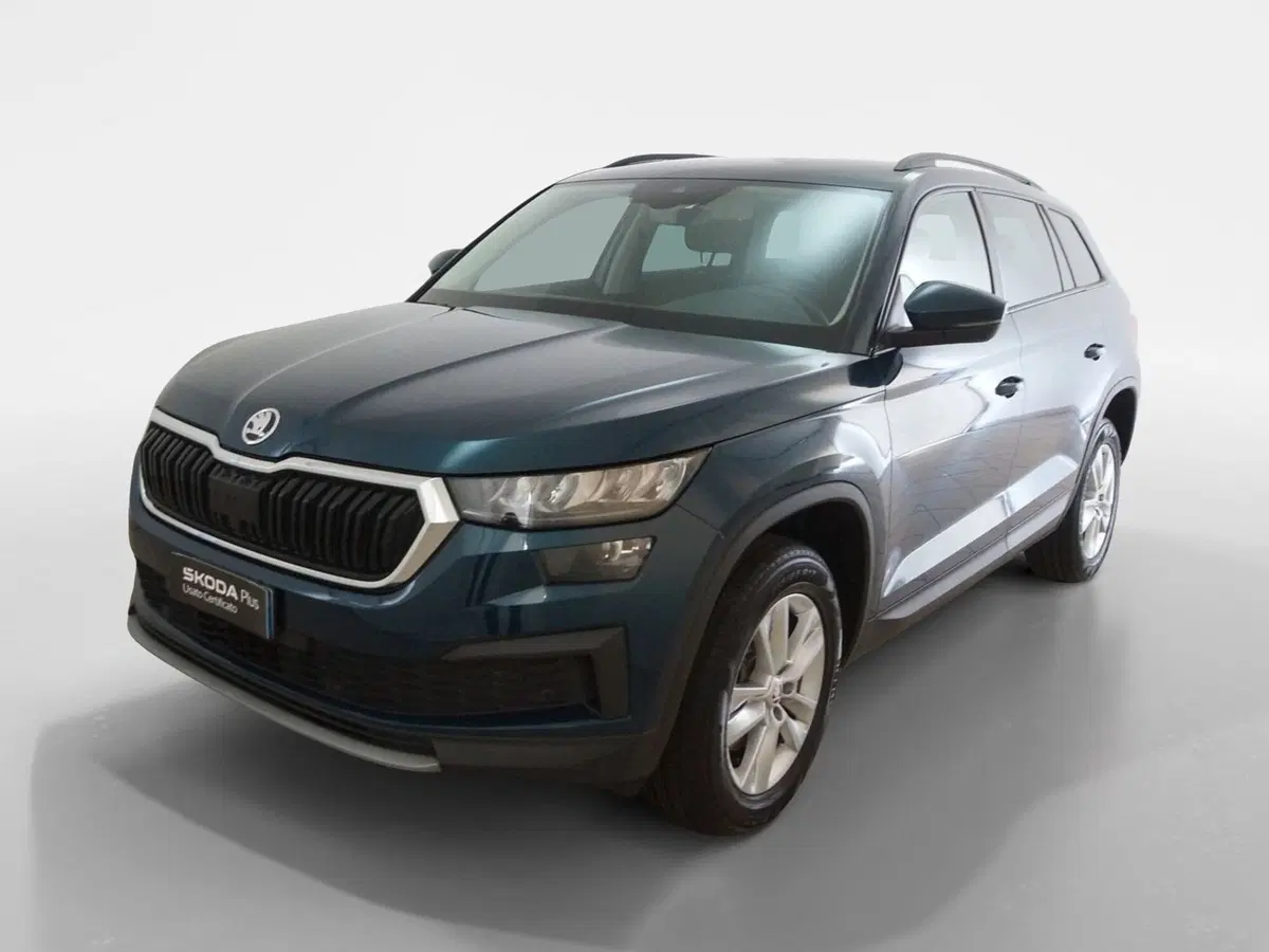 Skoda Kodiaq usata a Torino (3)