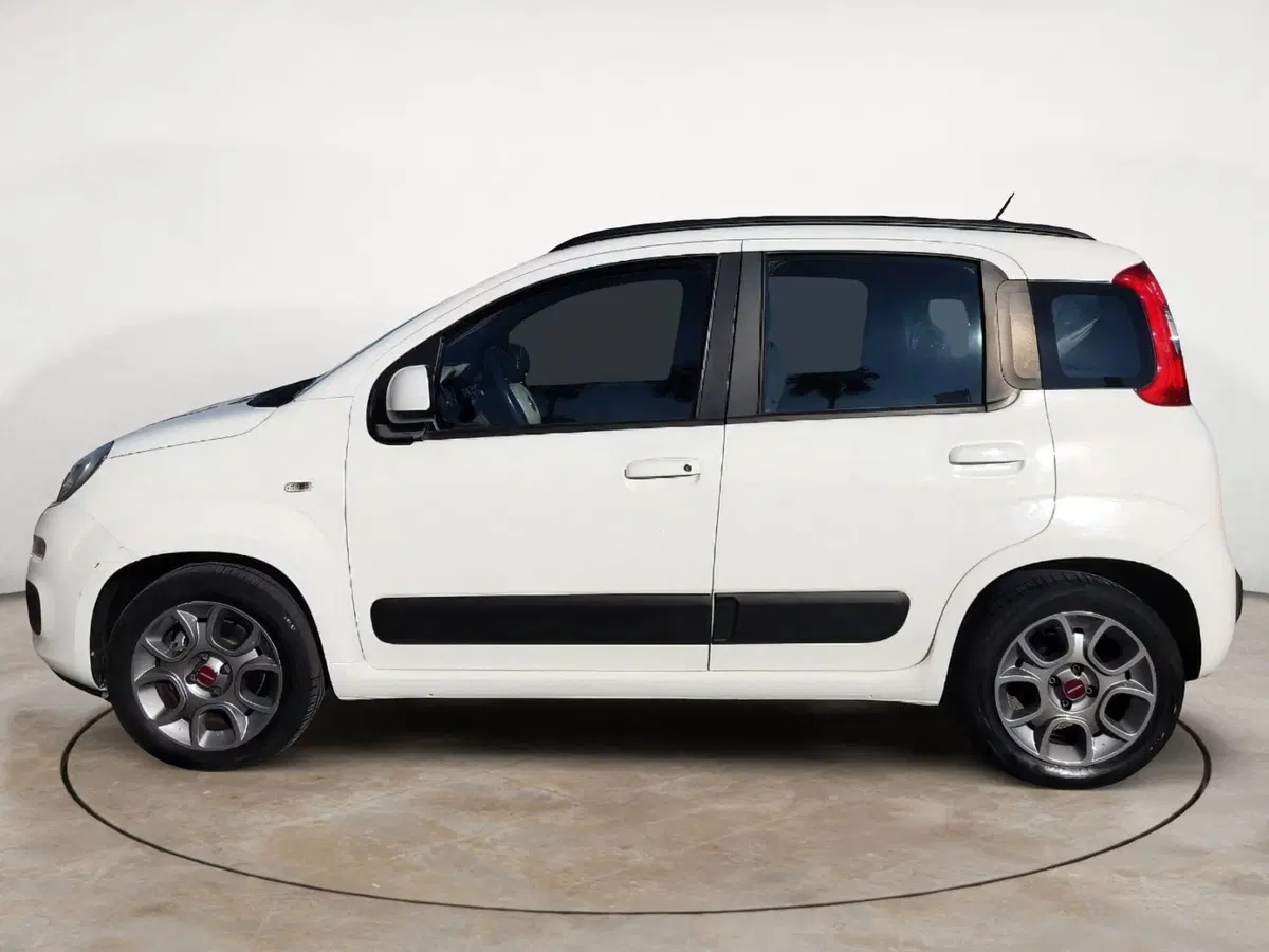 Fiat Panda usata a Brindisi (3)