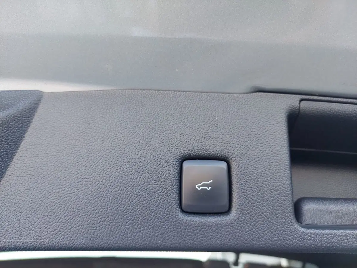Ford Kuga usata a Treviso (20)