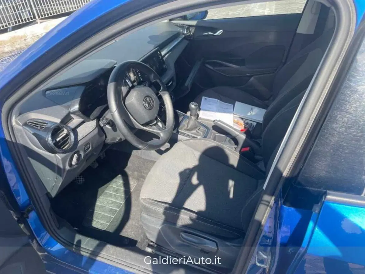 Skoda Fabia usata a Salerno (16)