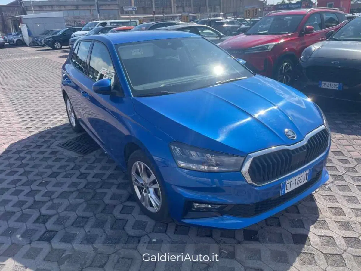 Skoda Fabia usata a Salerno (2)