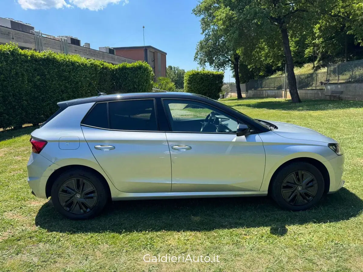 Skoda Fabia usata a Salerno (14)