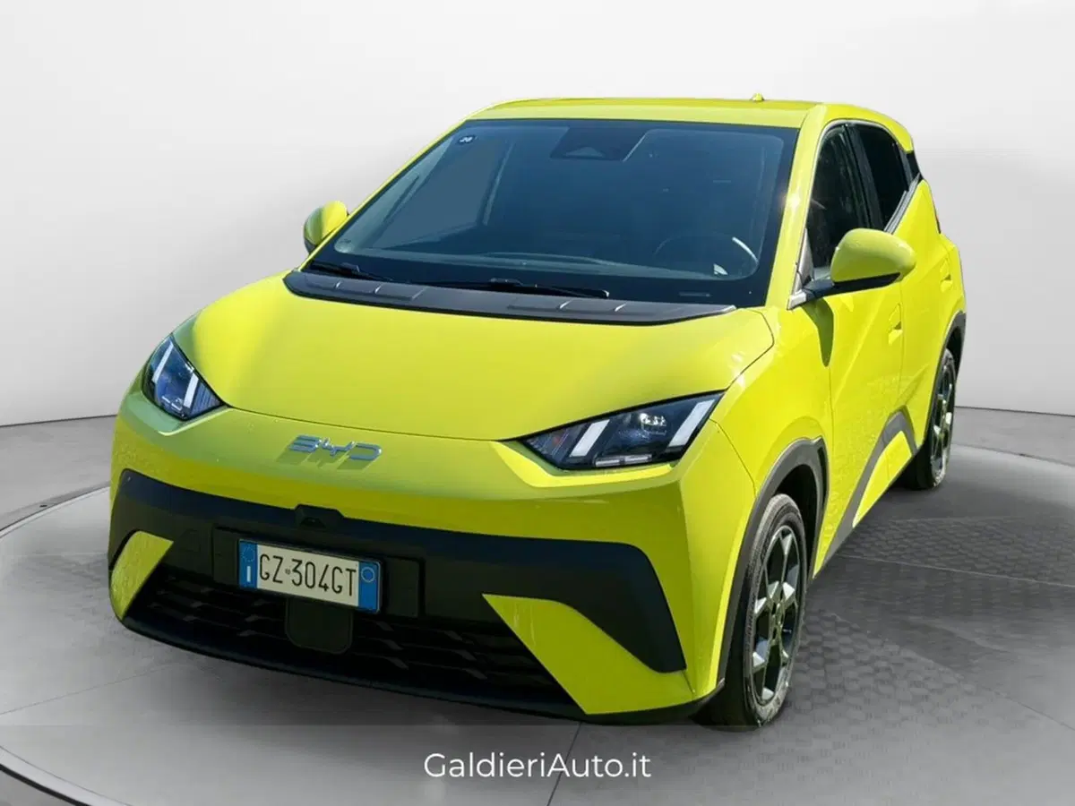 Byd Dolphin Surf usata a Salerno