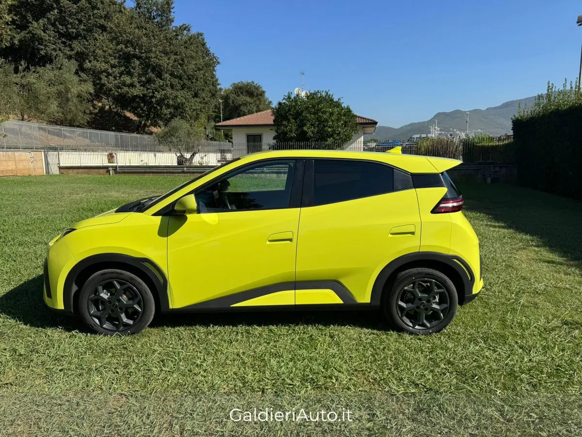 Byd Dolphin Surf usata a Salerno (10)