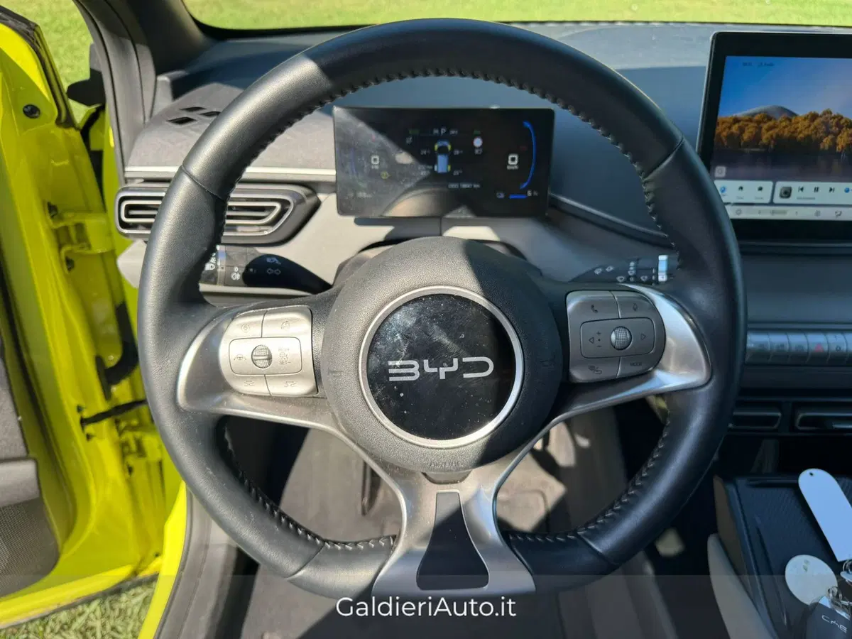 Byd Dolphin Surf usata a Salerno (18)