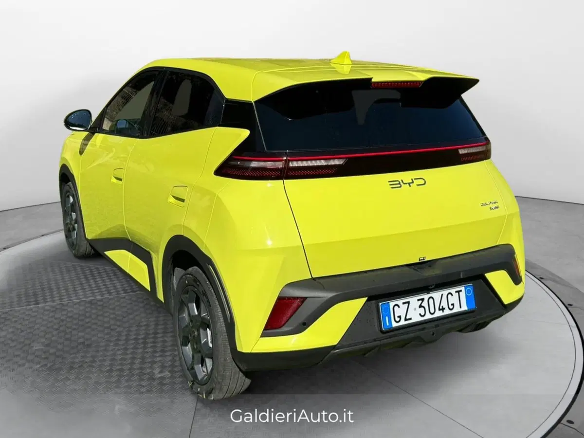 Byd Dolphin Surf usata a Salerno (3)