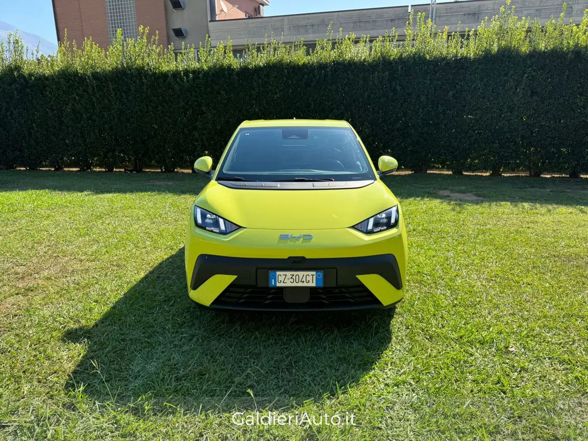 Byd Dolphin Surf usata a Salerno (9)