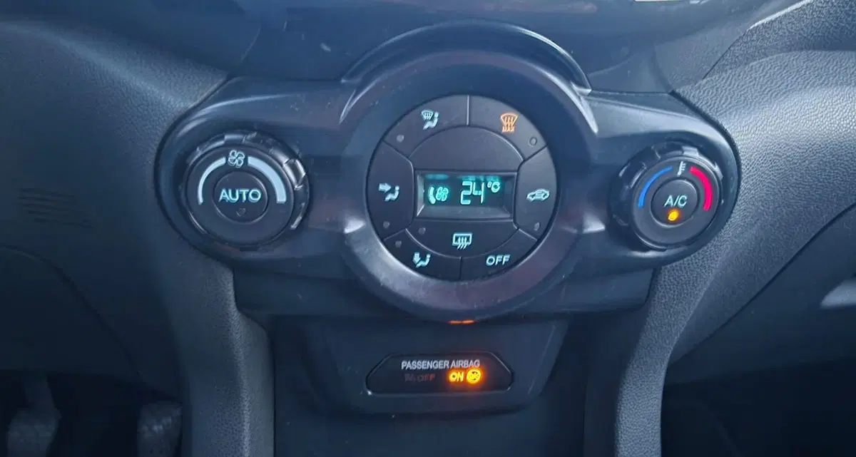 Ford EcoSport usata a Firenze (12)