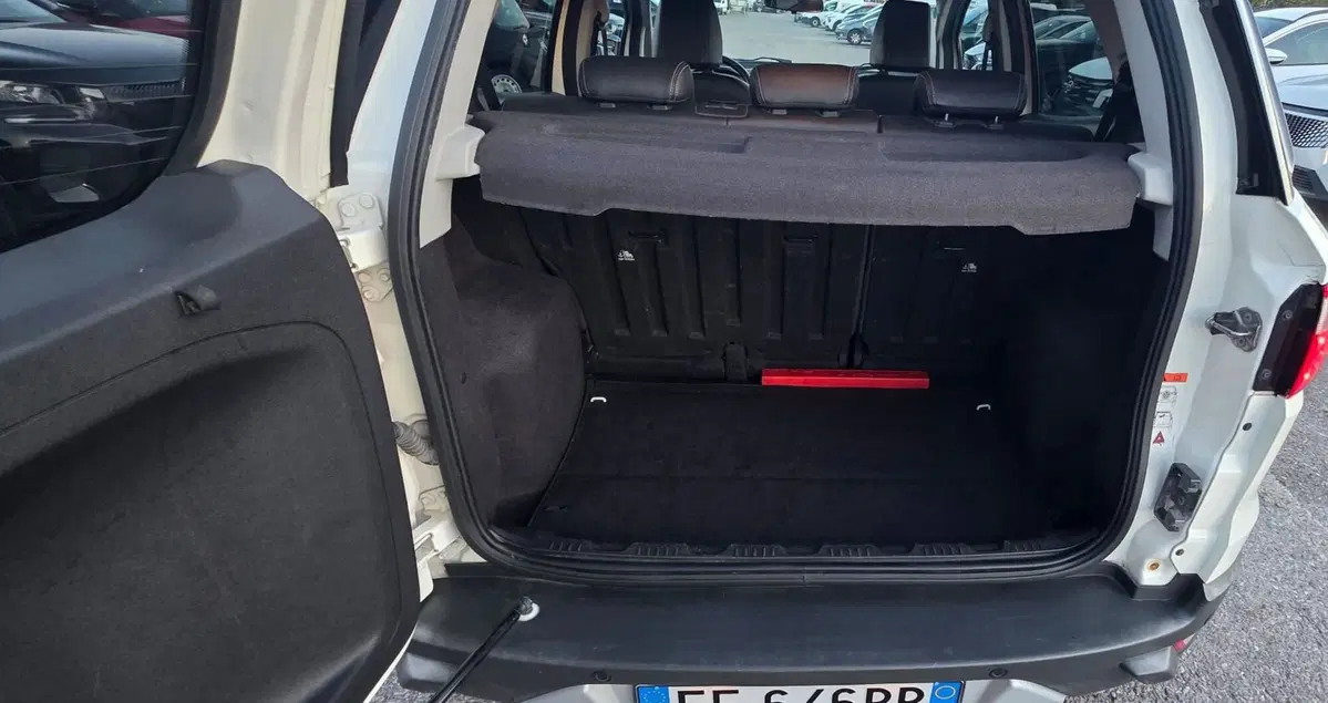 Ford EcoSport usata a Firenze (19)