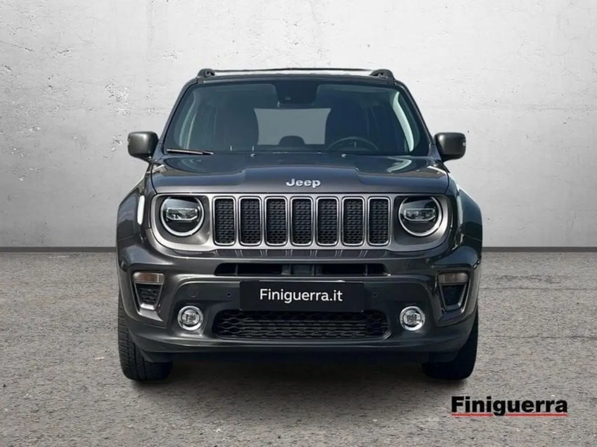 Jeep Renegade usata a Sondrio (2)