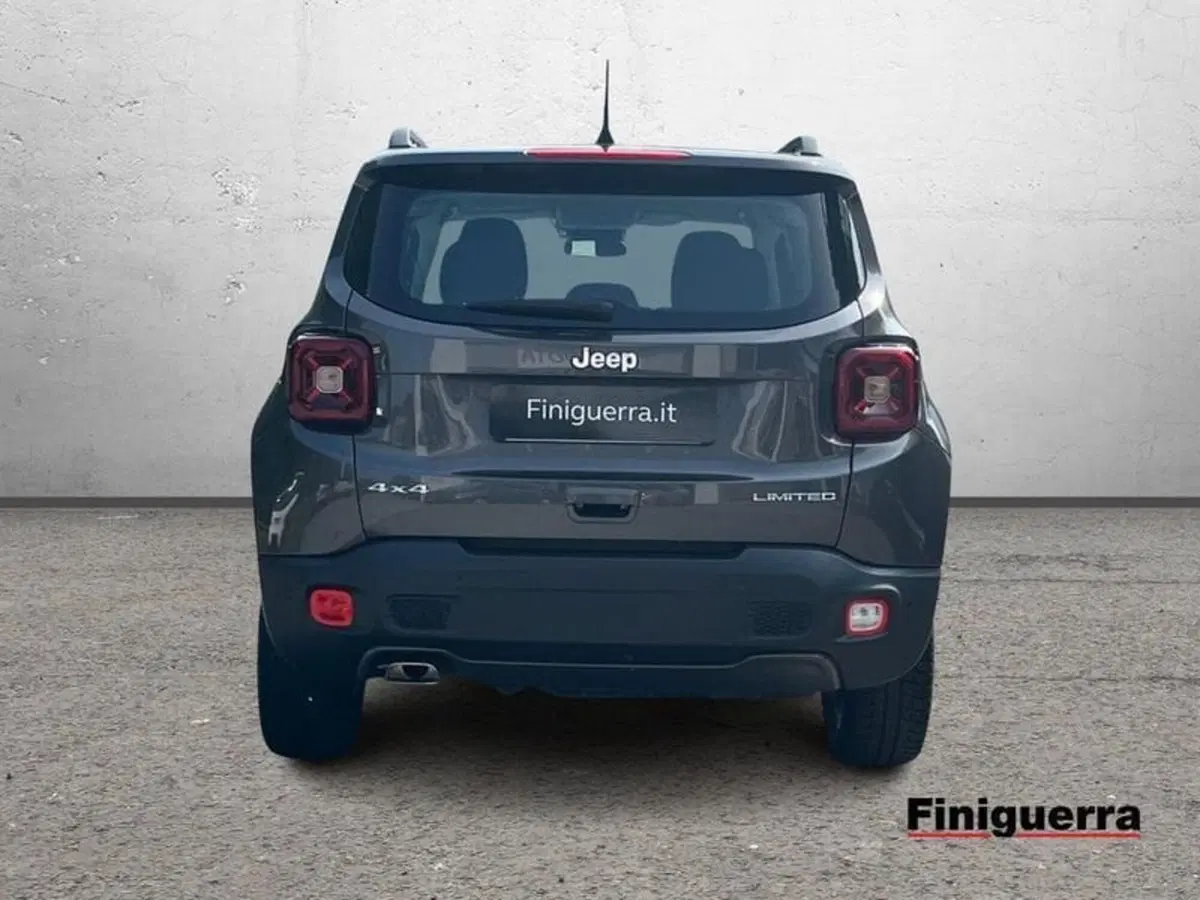 Jeep Renegade usata a Sondrio (3)