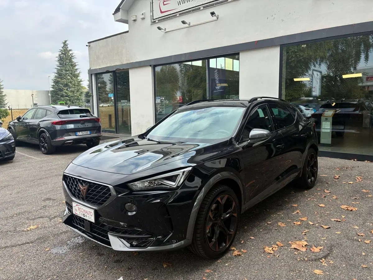Cupra Formentor usata a Monza e Brianza (2)
