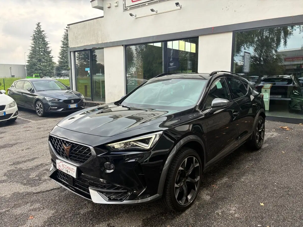 Cupra Formentor usata a Monza e Brianza (2)