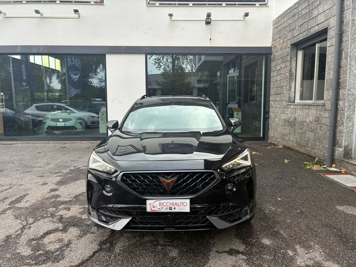 Cupra Formentor usata a Monza e Brianza (5)