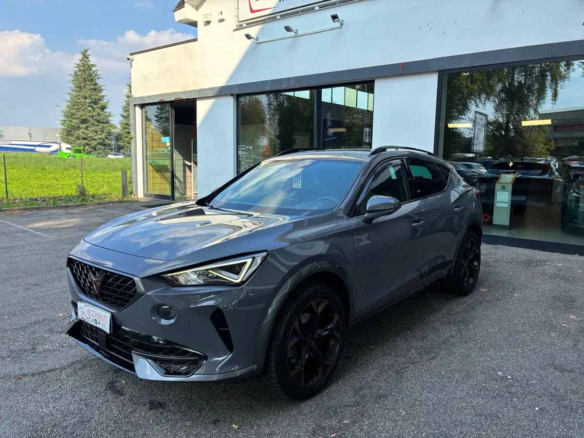 Cupra Formentor usata a Monza e Brianza (2)