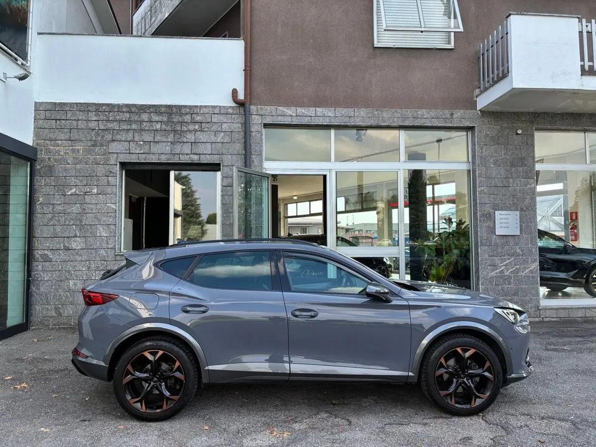 Cupra Formentor usata a Monza e Brianza (6)