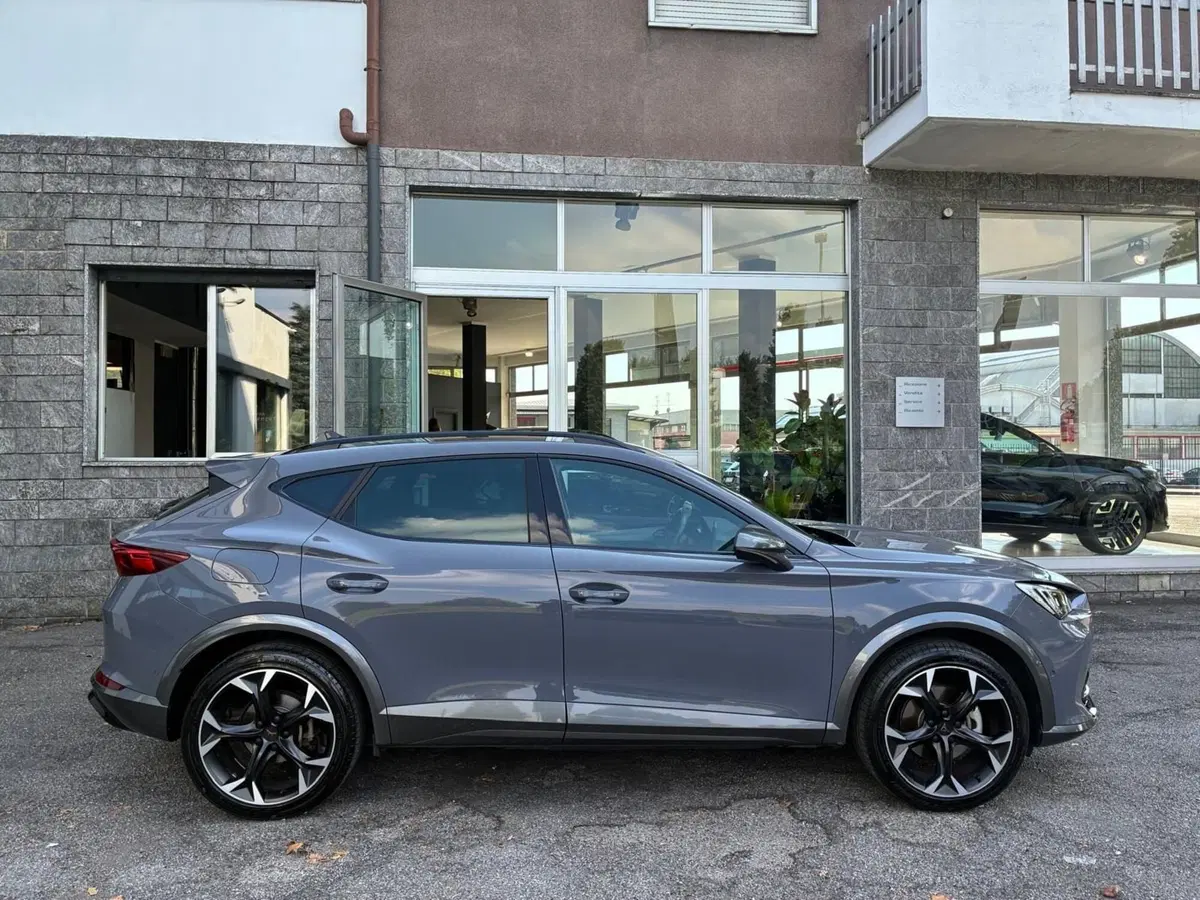 Cupra Formentor usata a Monza e Brianza (6)