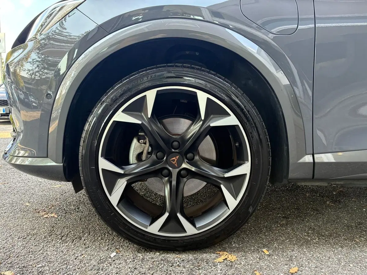 Cupra Formentor usata a Monza e Brianza (7)