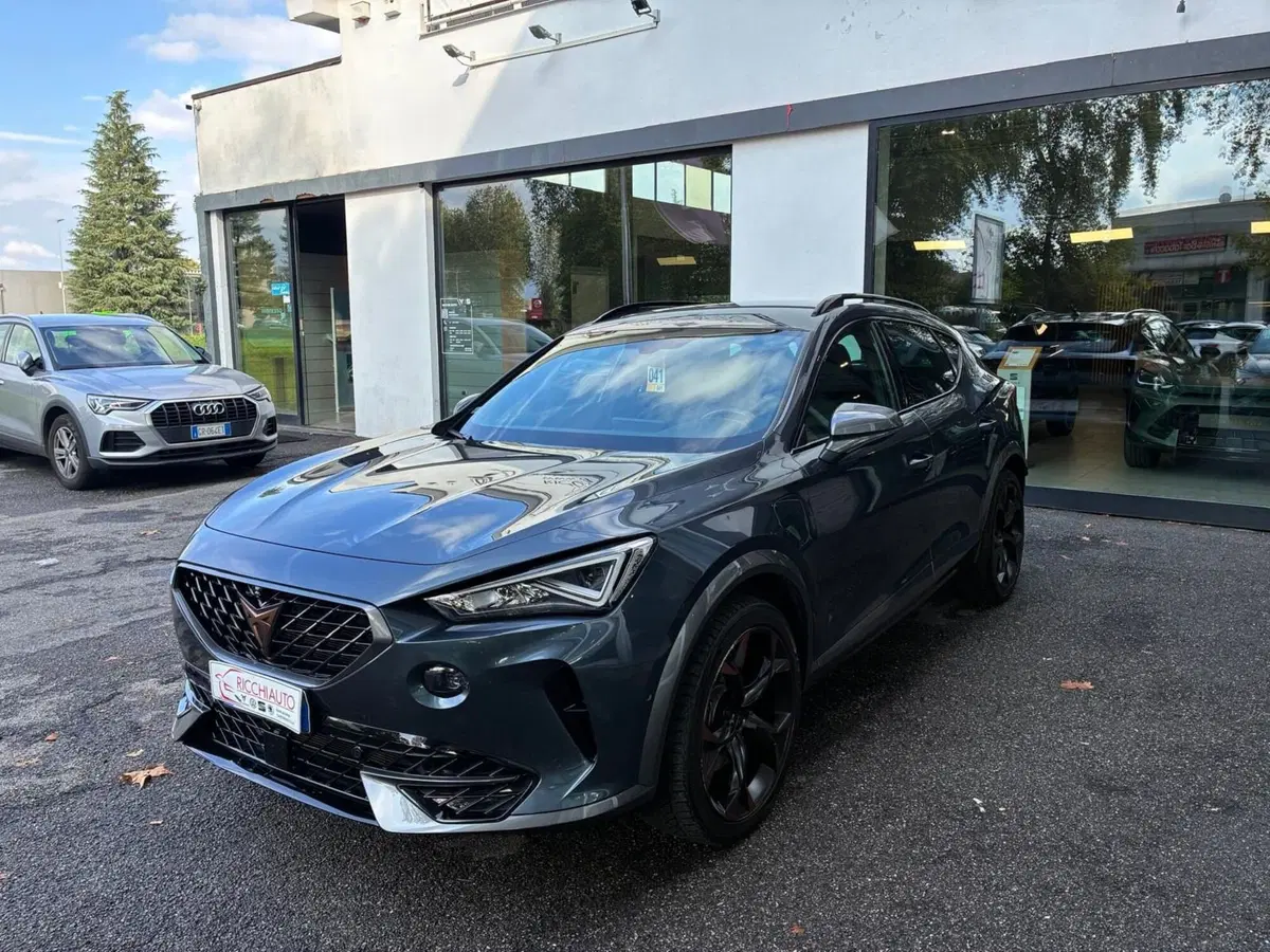 Cupra Formentor usata a Monza e Brianza (2)