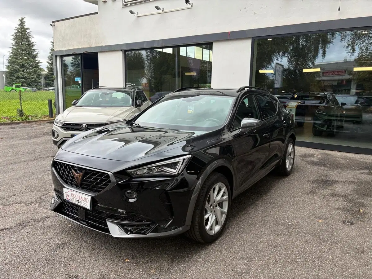 Cupra Formentor usata a Monza e Brianza (2)