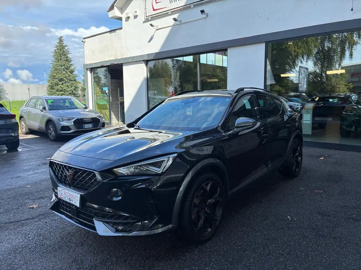 Cupra Formentor usata a Monza e Brianza (2)