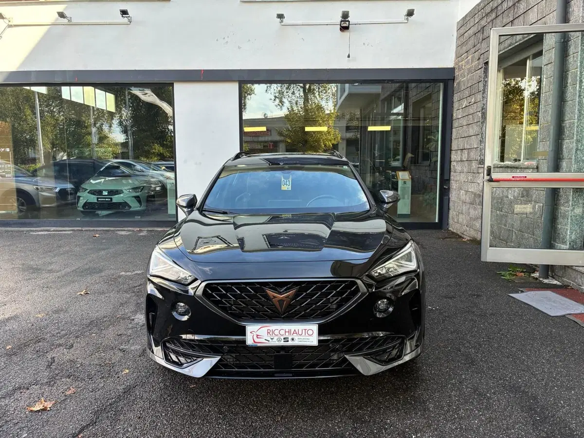 Cupra Formentor usata a Monza e Brianza (5)