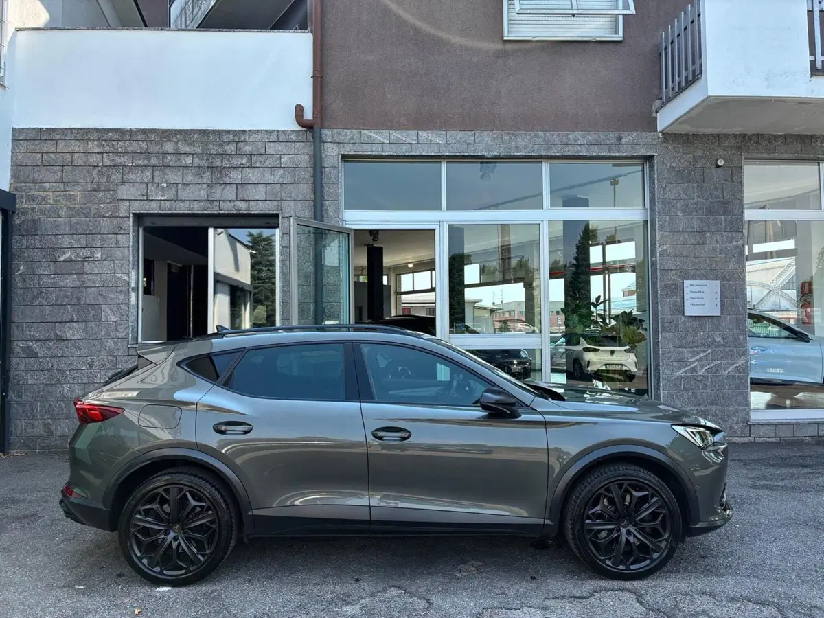 Cupra Formentor usata a Monza e Brianza (6)