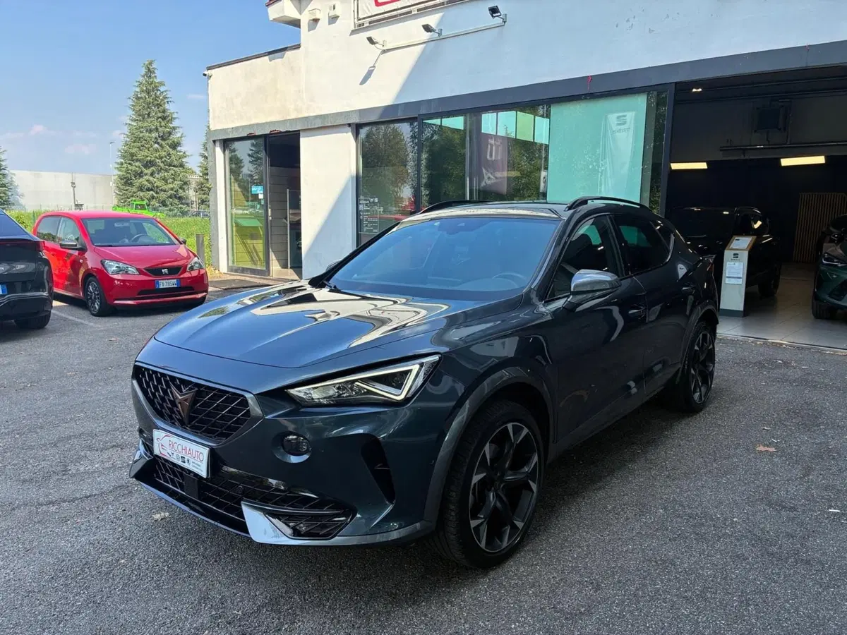 Cupra Formentor usata a Monza e Brianza (2)