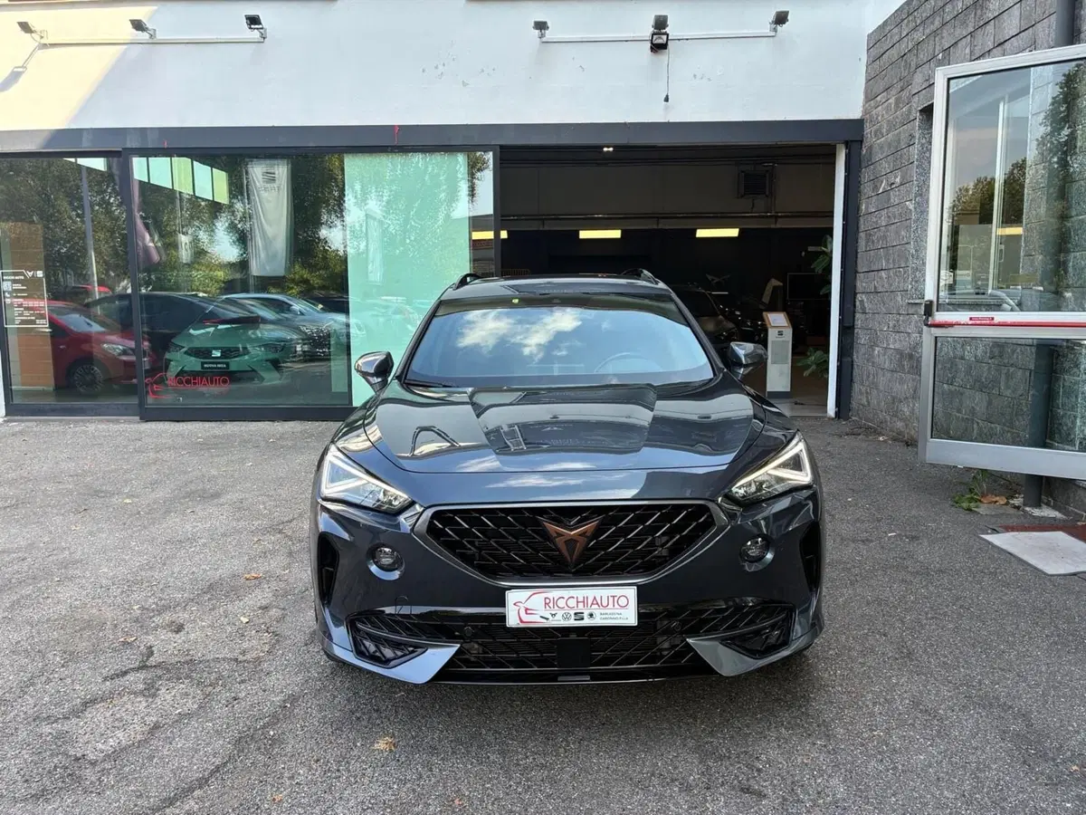 Cupra Formentor usata a Monza e Brianza (5)