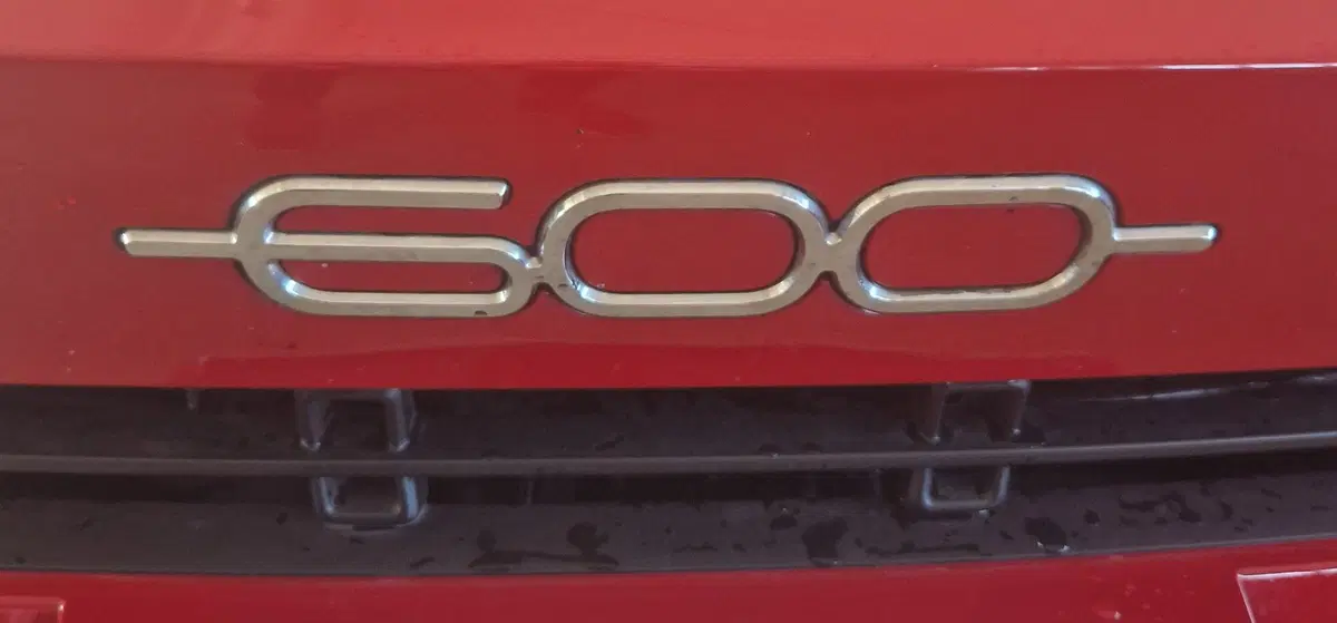 Fiat 600 usata a Terni (20)