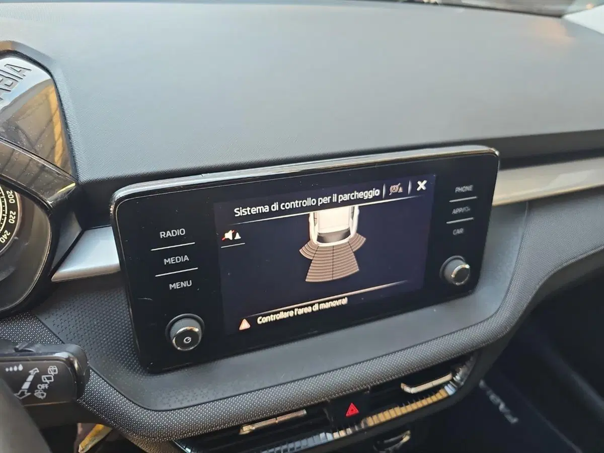 Skoda Fabia usata a Lecco (15)