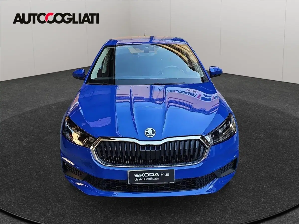 Skoda Fabia usata a Lecco (2)