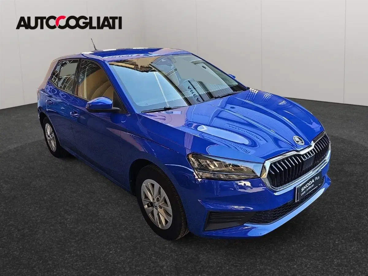 Skoda Fabia usata a Lecco (3)