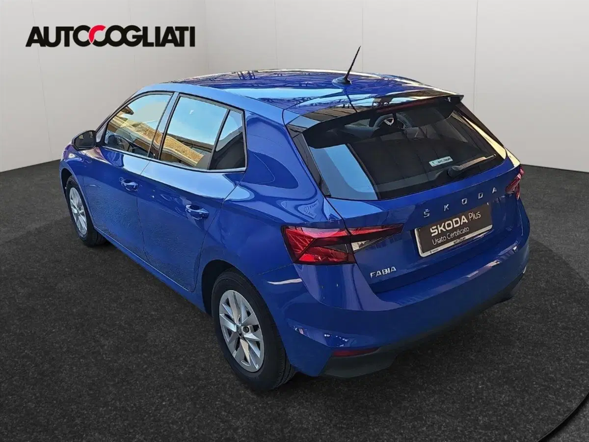Skoda Fabia usata a Lecco (7)
