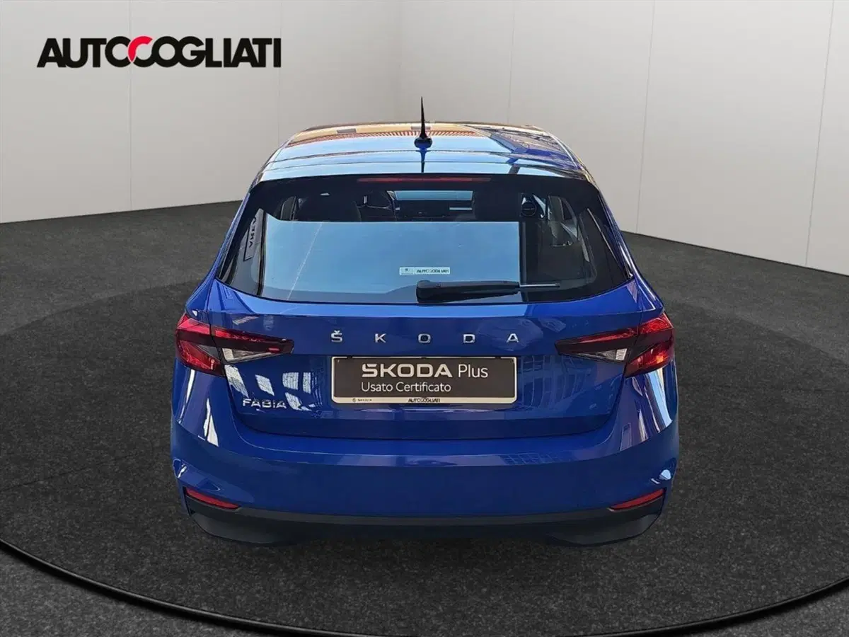 Skoda Fabia usata a Lecco (8)