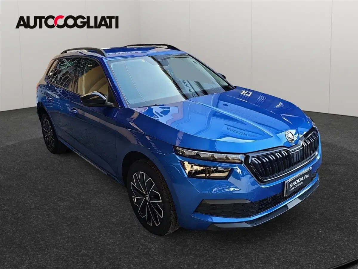 Skoda Kamiq usata a Lecco (3)